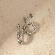 Load image into Gallery viewer, Stainless Steel Silver-Plated Snake Earrings
