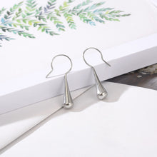 Load image into Gallery viewer, Stainless Steel Geometric Earrings
